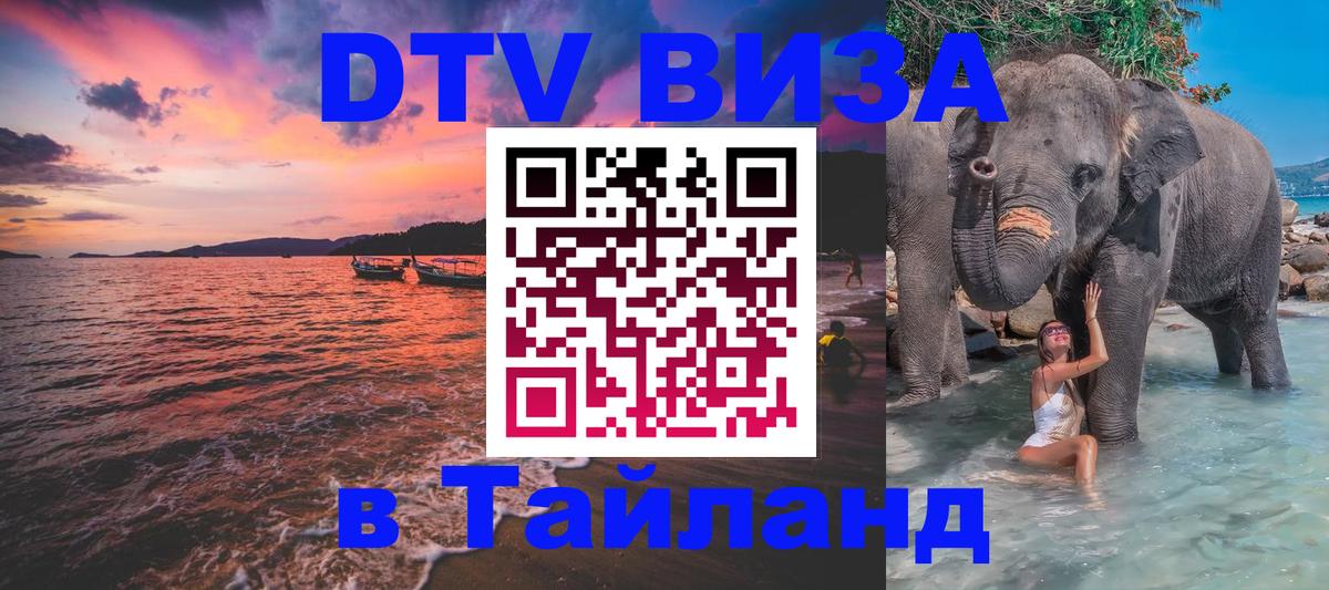 Сколько стоит DTV виза — актуальные цены, оформление даже без документов - Салават 